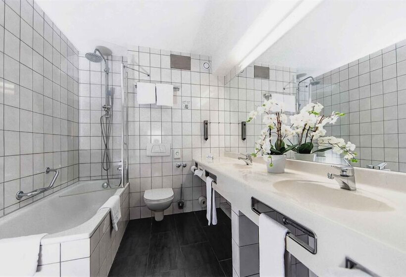Полулюкс, Best Western Plaza Hotel Grevenbroich