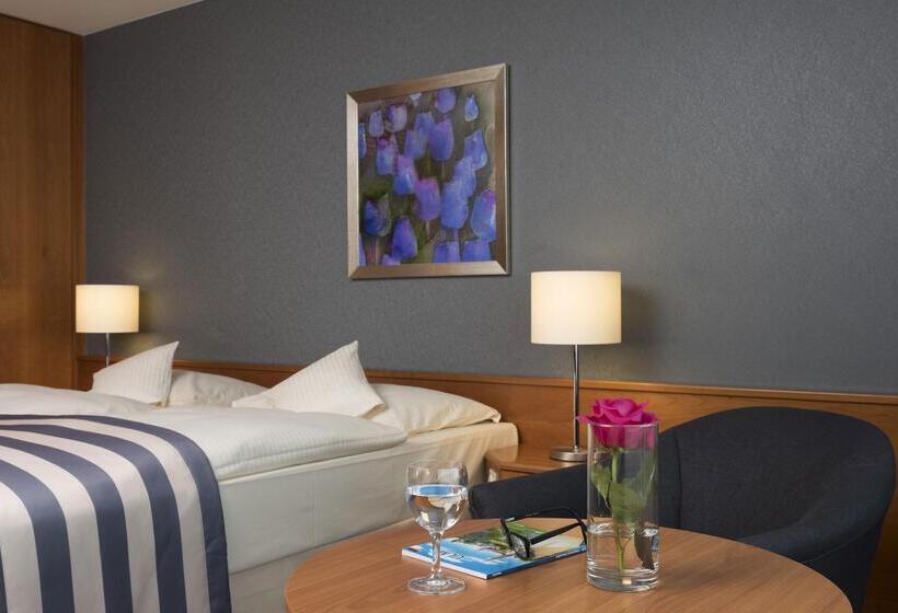 클래식 룸, Maritim Hotel Ulm
