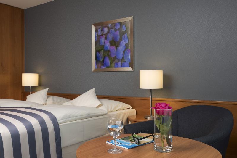 스탠다드 룸, Maritim Hotel Ulm