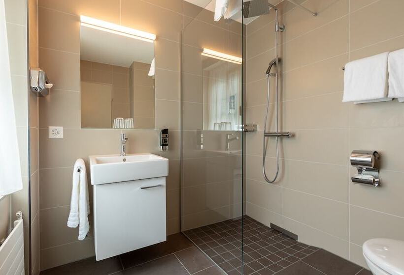اتاق استاندارد یک نفره, Trip Inn Zurich