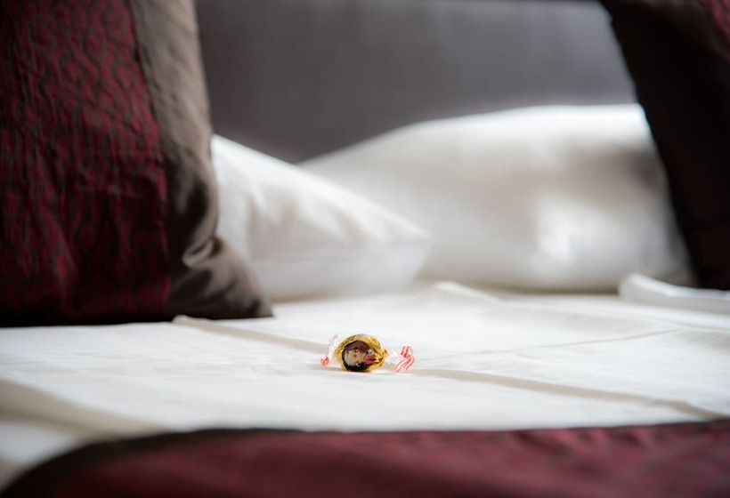 스탠다드 싱글 룸, Club Hotel Cortina