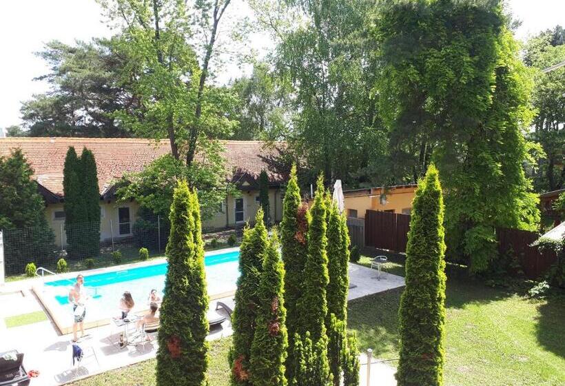 Номер Стандарт, Korona