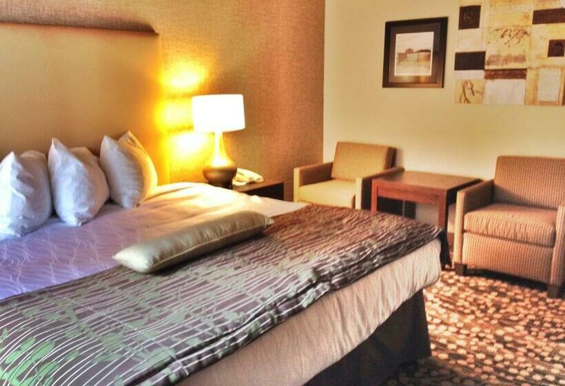 스탠다드 룸 킹사이즈 침대, Best Western The Inn & Suites Pacific Grove