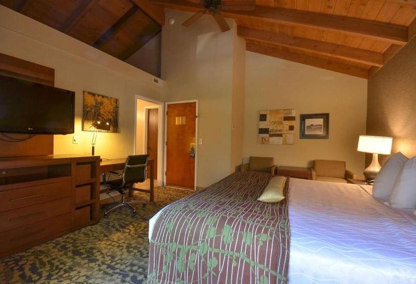 스탠다드 룸 킹사이즈 침대, Best Western The Inn & Suites Pacific Grove