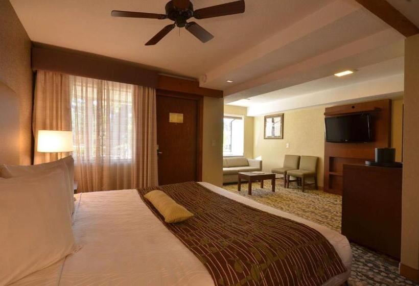 스탠다드 룸 킹사이즈 침대, Best Western The Inn & Suites Pacific Grove