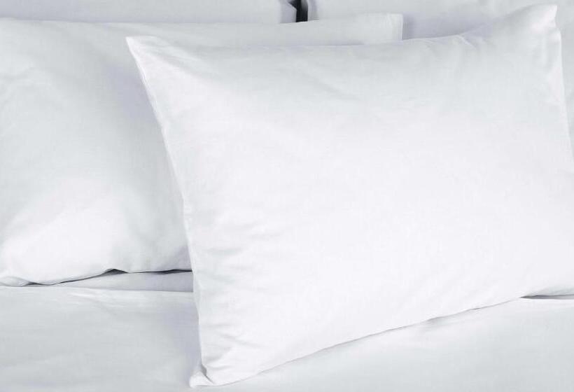 스탠다드 룸 더블 침대 2개, Sunrise Inn Williamstown