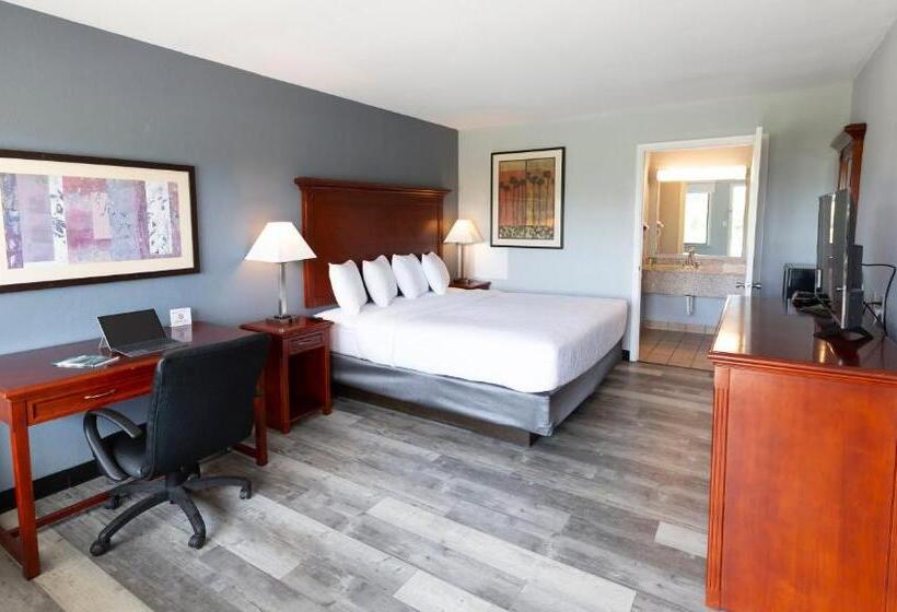 장애인을 위한 킹사이즈 침대 스탠다드 룸, Sunrise Inn Williamstown
