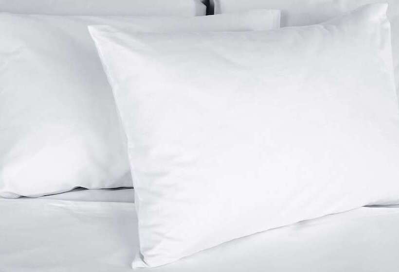 스탠다드 룸 더블 침대 2개, Sunrise Inn Williamstown