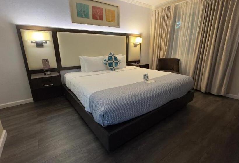 غرفة قياسية سرير كينج, The Palo Alto Inn