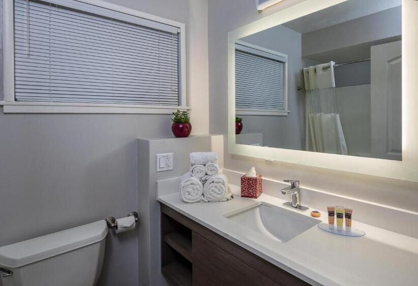 غرفة قياسية سرير كينج, The Palo Alto Inn