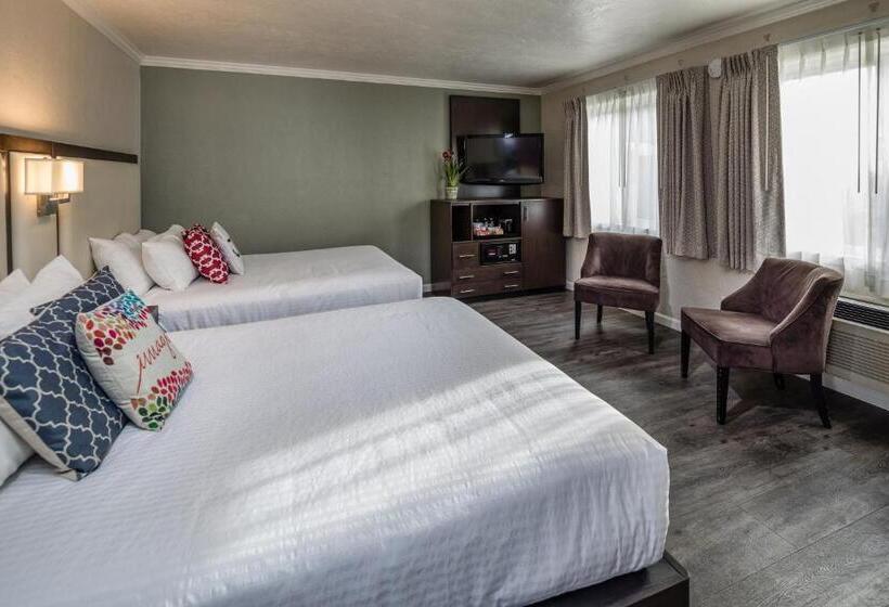 غرفة قياسية, The Palo Alto Inn