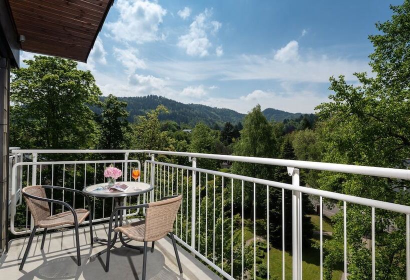 Номер Superior, Leonardo Royal Hotel Baden  Baden