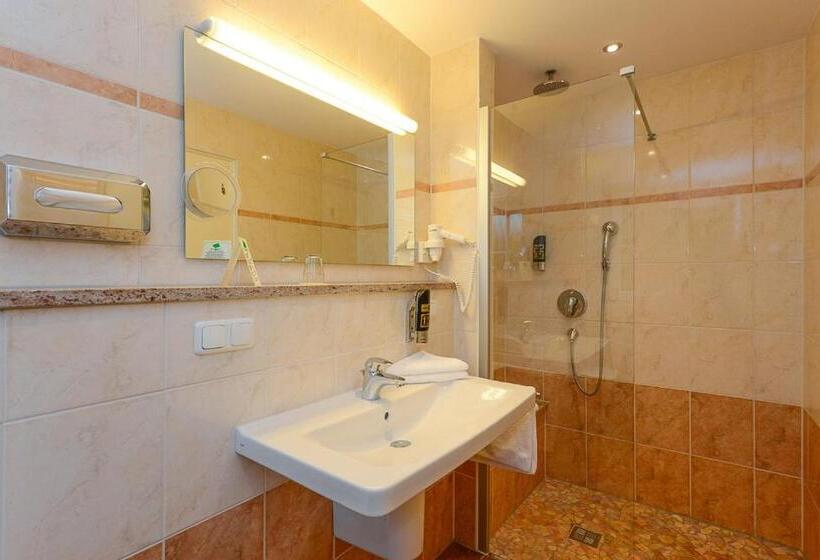 Номер Стандарт Индивидуальный, Stoll S Hotel Alpina