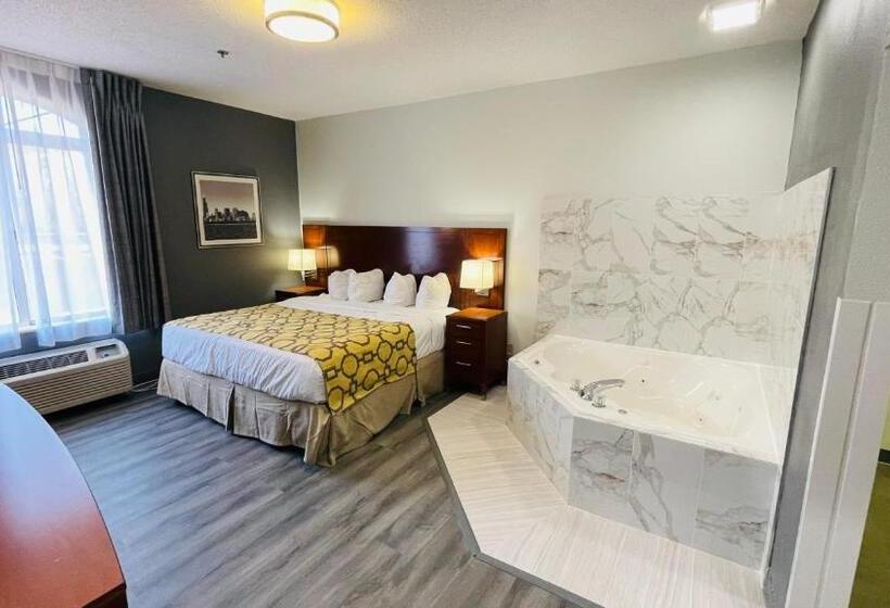 Standaardkamer met Kingsize Bed, Baymont By Wyndham Chicago/calumet City
