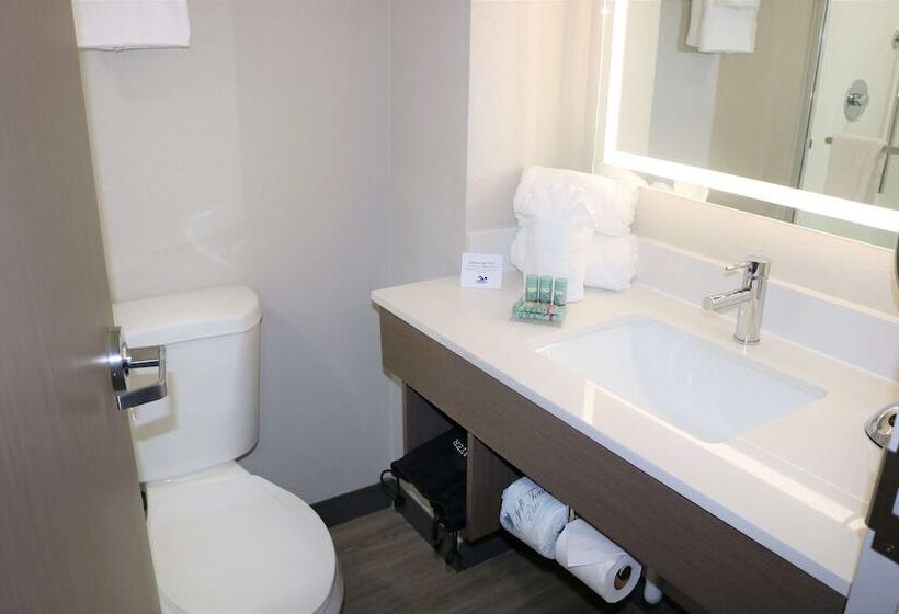 스탠다드 룸 더블 침대 2개, Best Western Aku Tiki Inn
