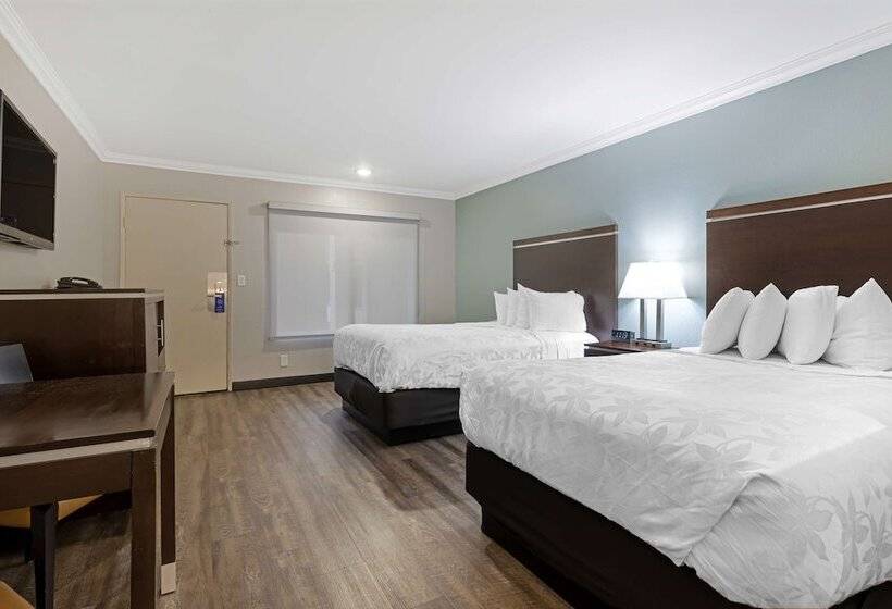 Chambre Standard 2 Lits Doubles, Best Western Courtesy Inn Hotel   Anaheim Resort At The Park