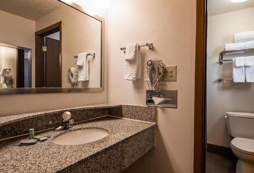 Стандартный Номер Кровать Кинг, Best Western Paradise Inn