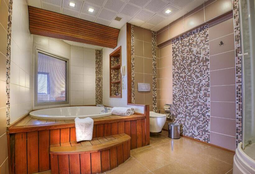 带大床的标准间, Best Western Plus Hotel Konak