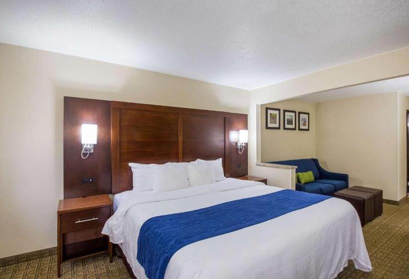 Люкс Кровать Кинг, Quality Inn & Suites