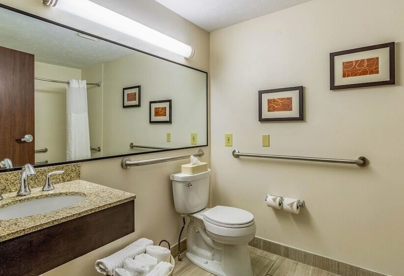 Номер Стандарт 2 Двуспальные Кровати, Comfort Inn