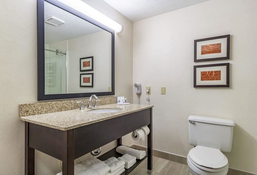 Номер Стандарт 2 Двуспальные Кровати, Comfort Inn