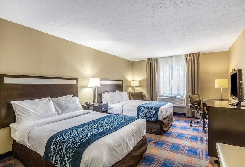 Номер Стандарт 2 Двуспальные Кровати, Comfort Inn