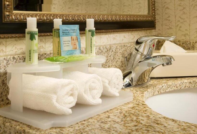 Номер Стандарт Кровать Кинг Адаптированный для Инвалидов, Holiday Inn Express Washington Dc Bw Parkway, An Ihg