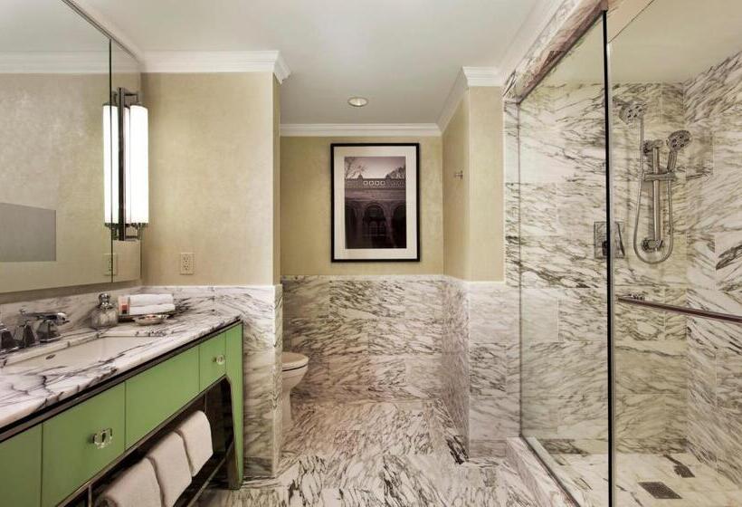 اتاق لوکس, Loews Regency  New York