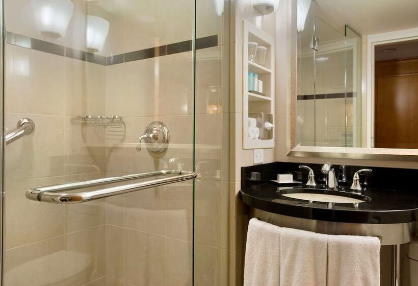 스탠다드 룸 더블 침대 2개, New York Hilton Midtown