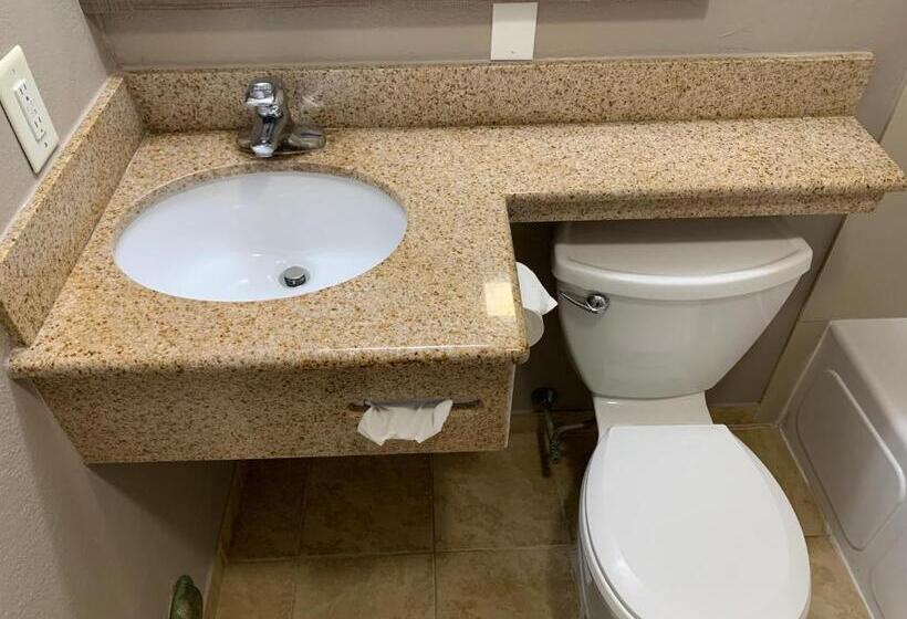 스탠다드 룸 킹사이즈 침대, Red Roof Inn & Suites Vineland Buena