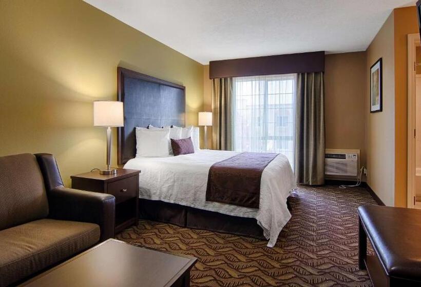 带大床的标准间, Best Western Plus Grand Manor Inn