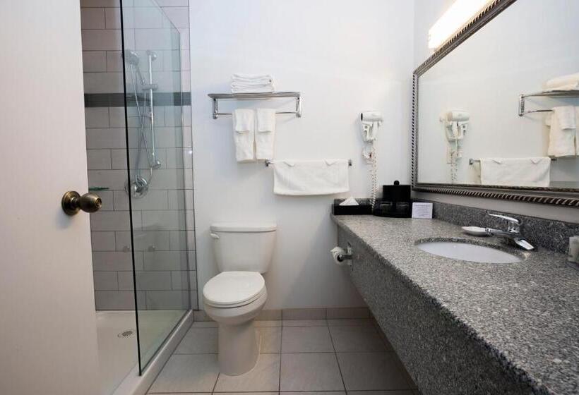 اتاق استاندارد, Tower Inn & Suites