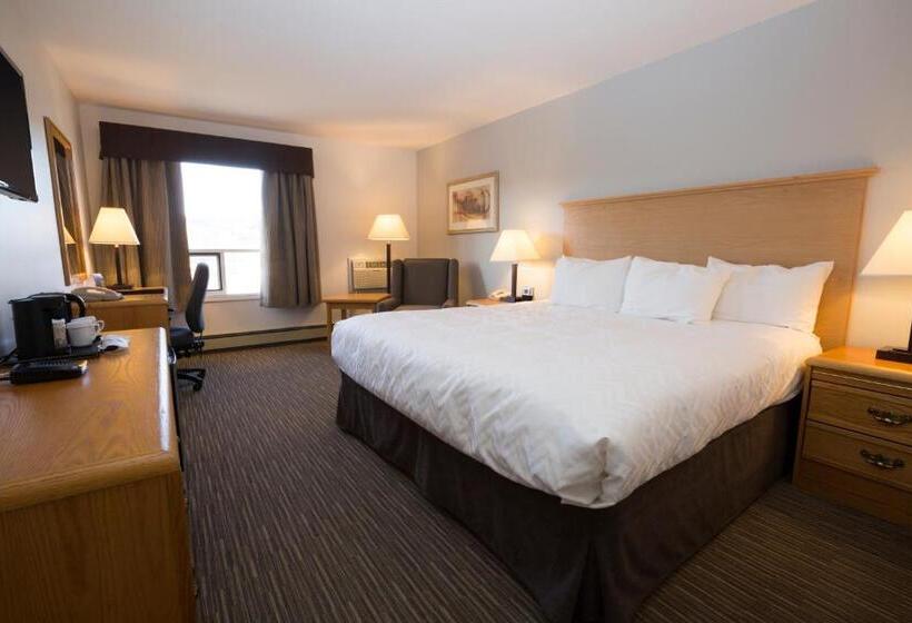 اتاق استاندارد با تخت بزرگ, Tower Inn & Suites