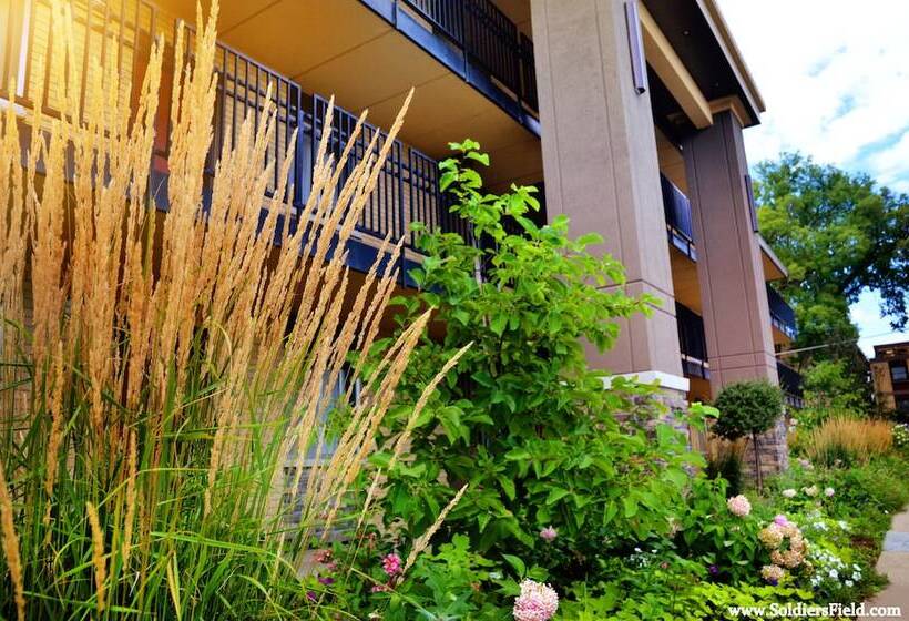 Стандартный Номер Кровать Кинг, Centerstone Plaza Hotel Soldiers Field   Mayo Clinic Area