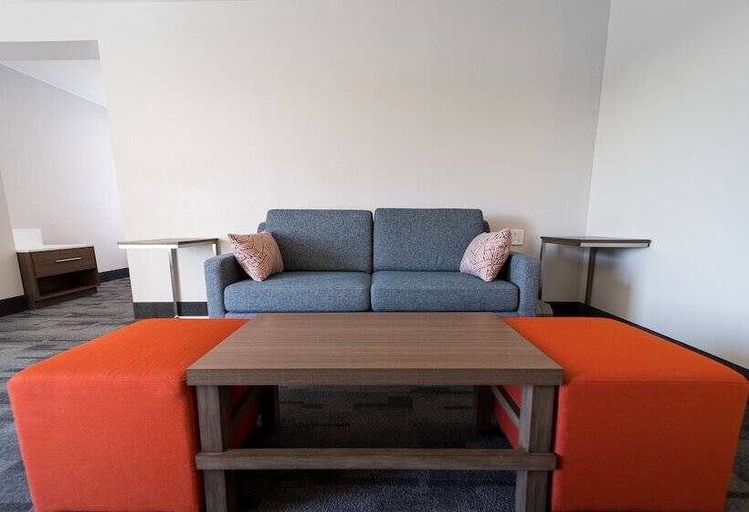 Люкс, Comfort Inn & Suites Wyomissing Reading