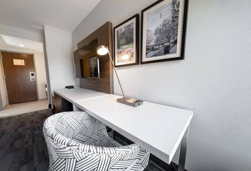 Люкс, Comfort Inn & Suites Wyomissing Reading