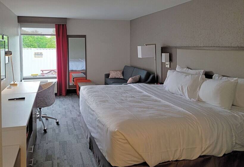 Люкс, Comfort Inn & Suites Wyomissing Reading