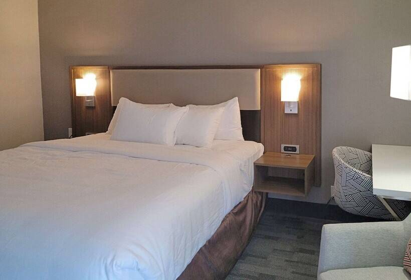 Люкс, Comfort Inn & Suites Wyomissing Reading