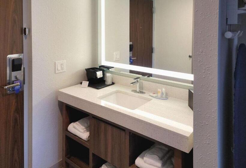 带大床的标准间, Comfort Inn & Suites Wyomissing Reading