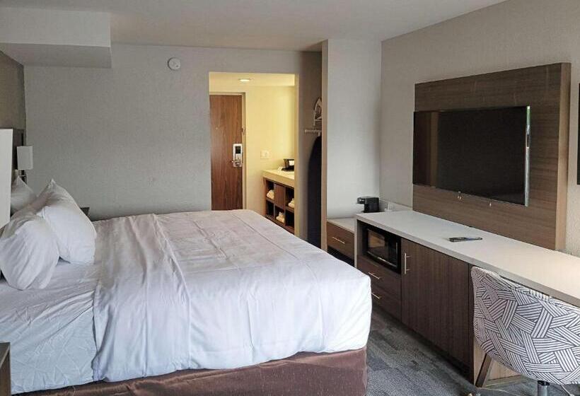 Стандартный Номер Кровать Кинг, Comfort Inn & Suites Wyomissing Reading