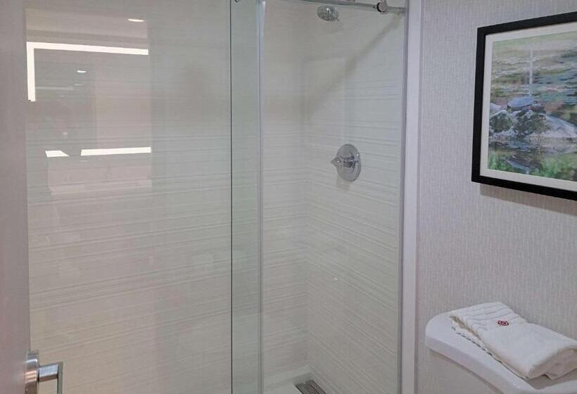 带大床的标准间, Comfort Inn & Suites Wyomissing Reading