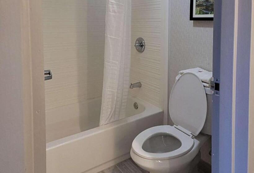 Стандартный Номер Кровать Кинг, Comfort Inn & Suites Wyomissing Reading