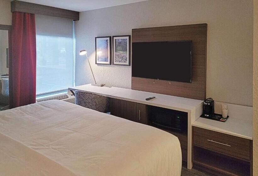 带大床的标准间, Comfort Inn & Suites Wyomissing Reading