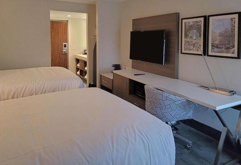 Номер Стандарт 2 Двуспальные Кровати, Comfort Inn & Suites Wyomissing Reading