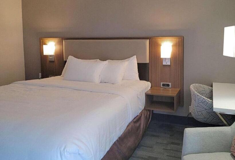 带大床的套房, Comfort Inn & Suites Wyomissing Reading