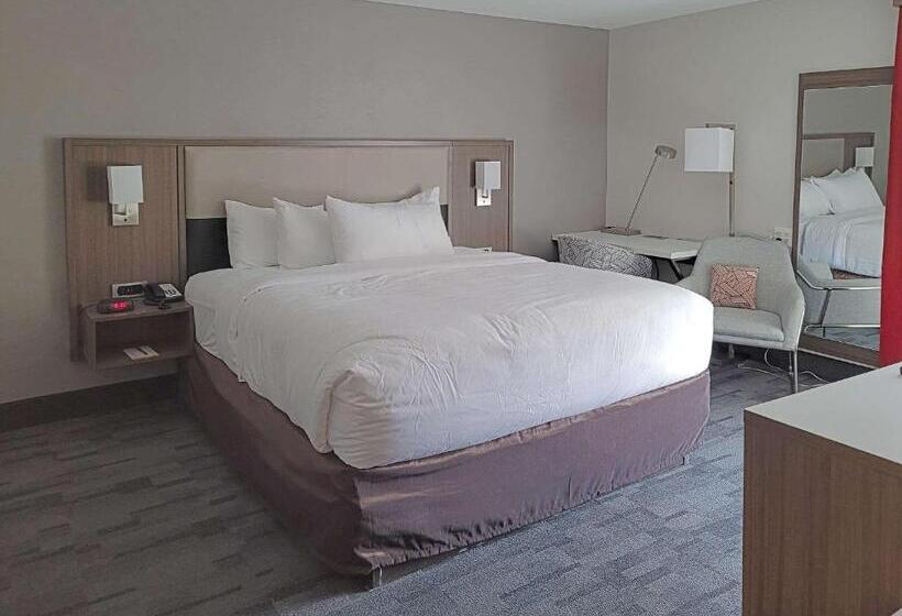 Номер Стандарт Кровать Кинг Адаптированный для Инвалидов, Comfort Inn & Suites Wyomissing Reading