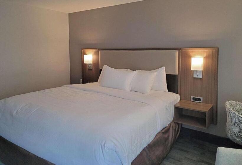 适合残疾人士使用的带超级大床的标准间, Comfort Inn & Suites Wyomissing Reading