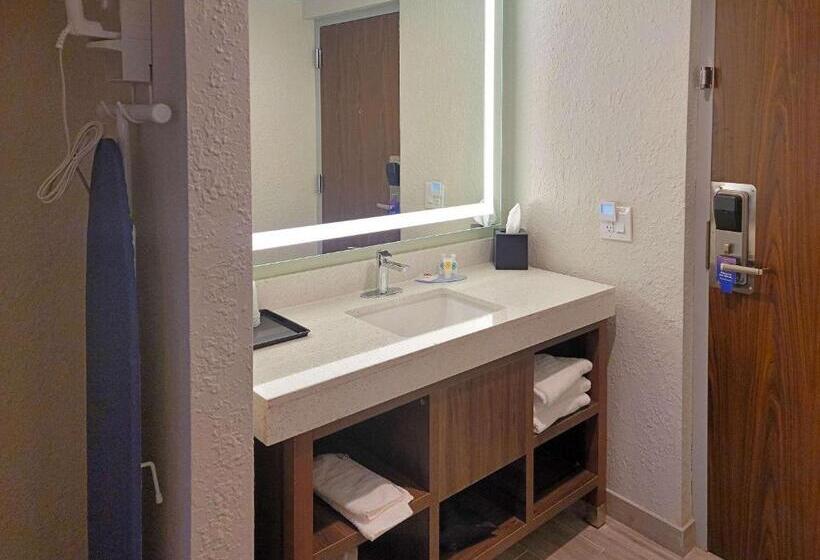 适合残疾人使用的标准间, Comfort Inn & Suites Wyomissing Reading