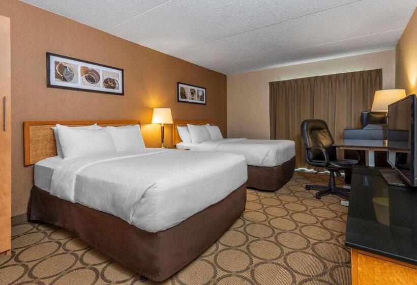 Стандартный Номер Нижний Этаж, Comfort Inn Thetford Mines