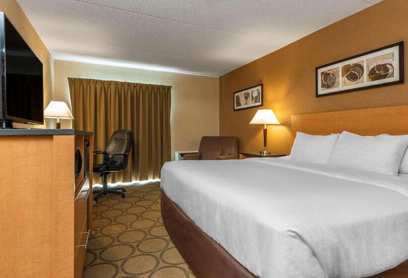 Стандартный Номер Нижний Этаж, Comfort Inn Thetford Mines